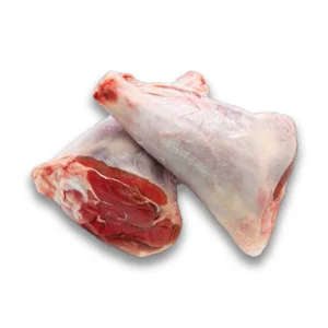shank bone in