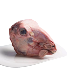 head