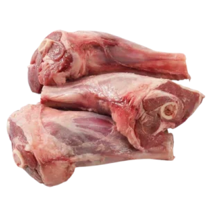 shank