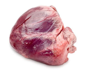 Beef Heart