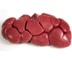 Beef kidney