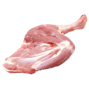 shoulder