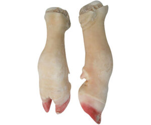 Feet
