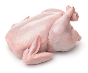 fowl chicken