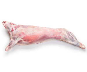 full lamb