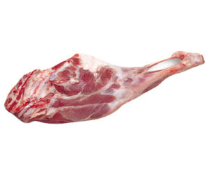 leg