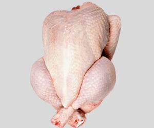 mature chicken