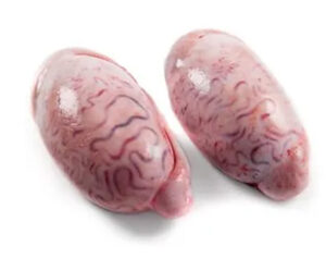 testicals