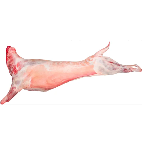 Goat with Skin Full